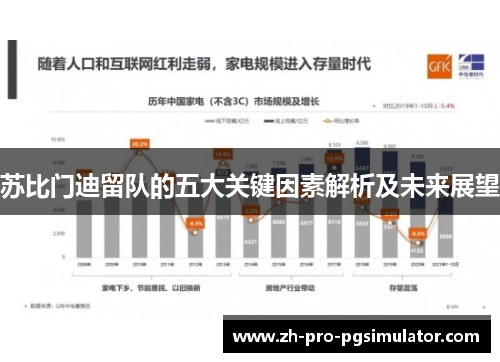 苏比门迪留队的五大关键因素解析及未来展望