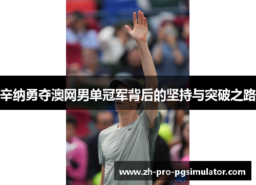 辛纳勇夺澳网男单冠军背后的坚持与突破之路