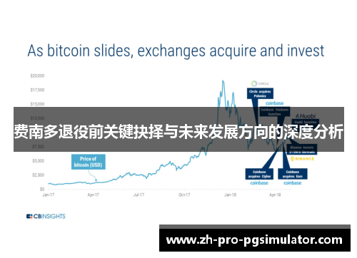 费南多退役前关键抉择与未来发展方向的深度分析