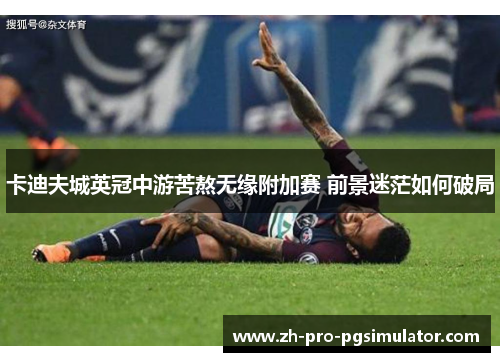 卡迪夫城英冠中游苦熬无缘附加赛 前景迷茫如何破局